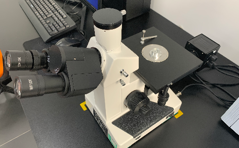 金相分析 金相分析